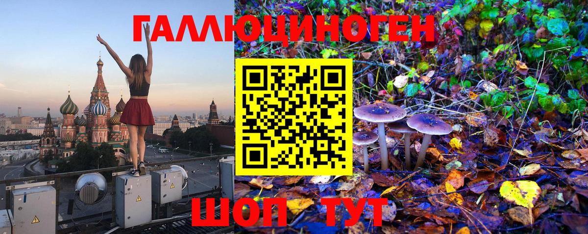 Галлюциногенные грибы Psilocybine cubensis Кузнецк